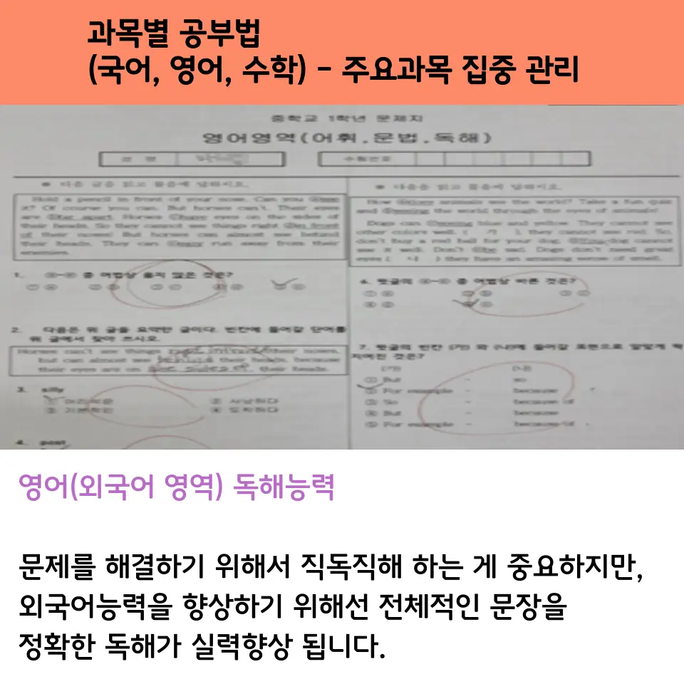 영어 독해와 공부법