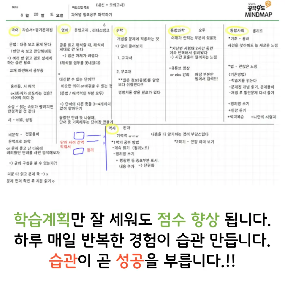 주간 복습 관리